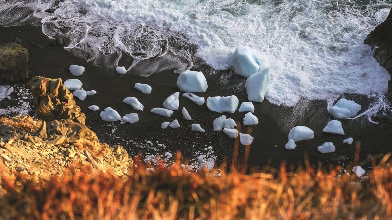 Bergy Bits Discover Iceberg Facts