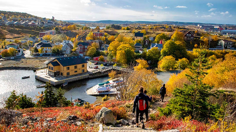 Image for Fall in Newfoundland and Labrador